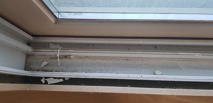 2f423e1365fc46453675d7e68d1fc576_1609146