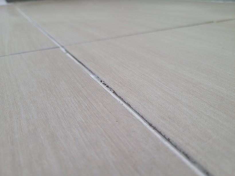 90afbbbf19f2a3e67814ece6690849e6_1620716