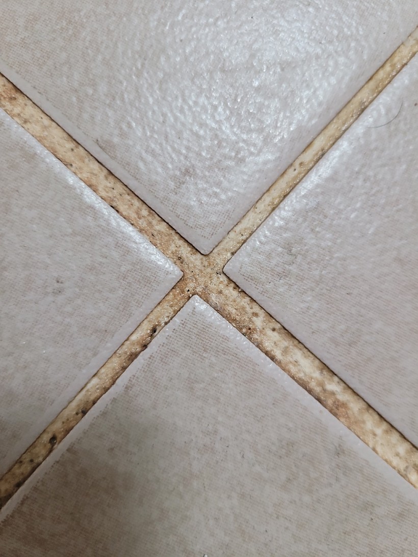 05f9b4c54a3957e9c5ff5f5bc080ac1e_1643337